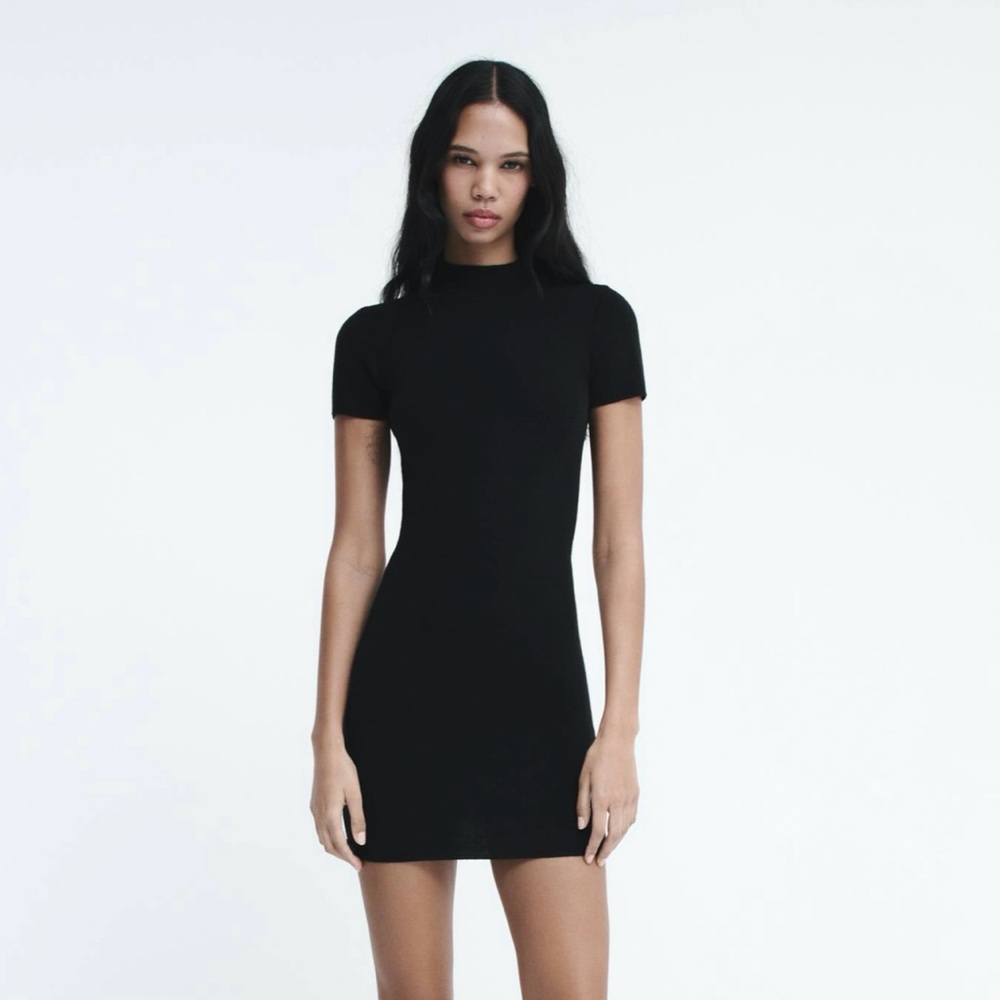 Zara soft fitted dress